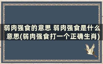 弱肉强食的意思 弱肉强食是什么意思(弱肉强食打一个正确生肖)